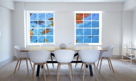 Velikost akvária pro začátečníky?