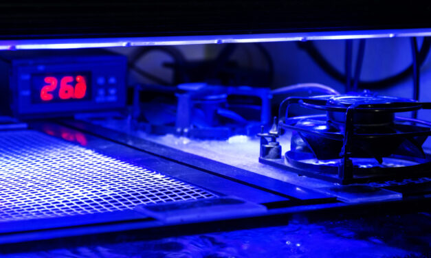 Možnosti chlazení akvária a DIY chlazení z PC větráčků