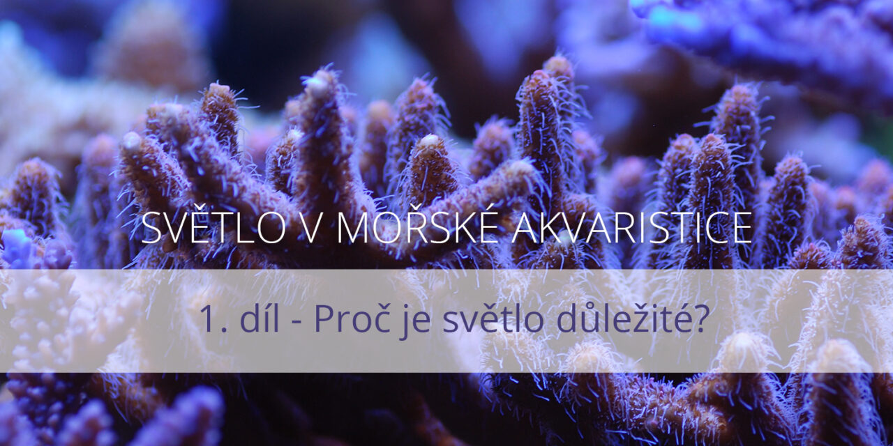 Světlo v mořské akvaristice, 1. díl
