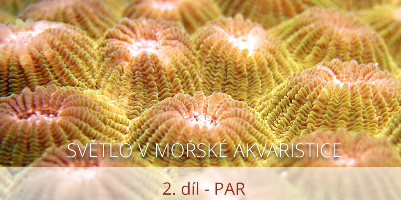 Světlo v mořské akvaristice, 2. díl