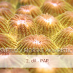 Světlo v&nbsp;mořské akvaristice, 2. díl