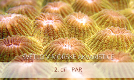 Světlo v mořské akvaristice, 2. díl