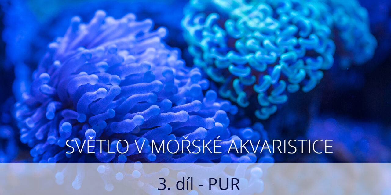 Světlo v mořské akvaristice, 3. díl
