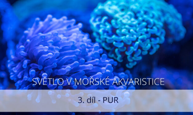 Světlo v mořské akvaristice, 3. díl