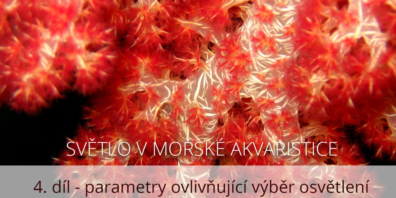 Světlo v mořské akvaristice, 4. díl