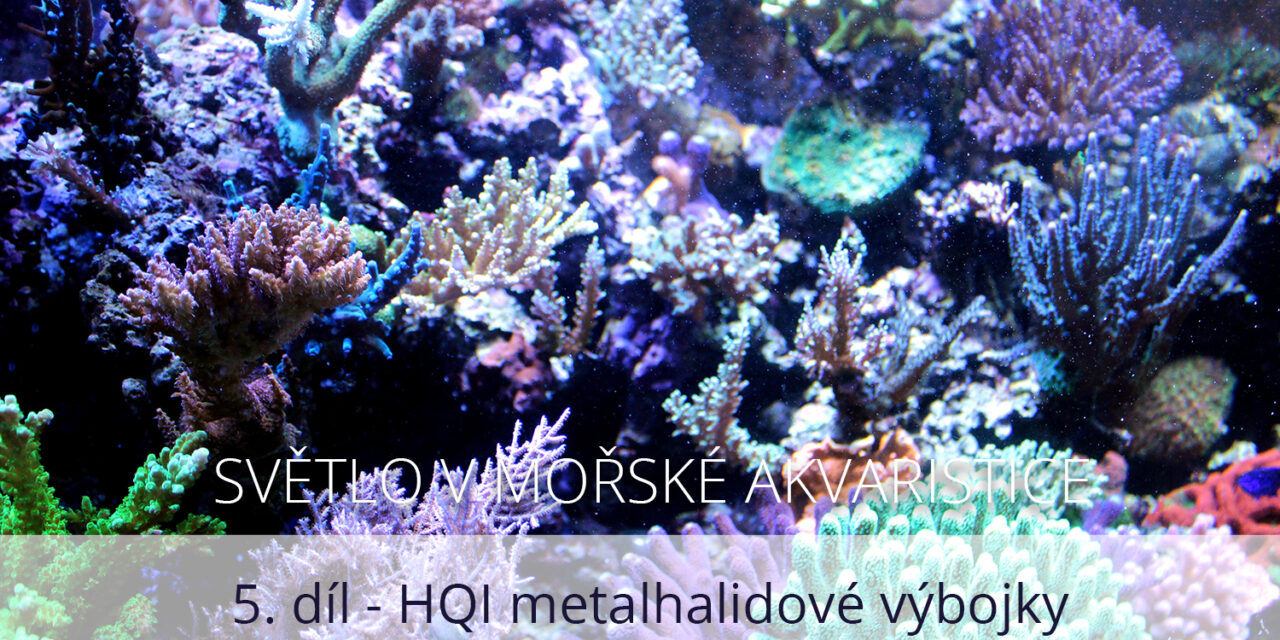 Světlo v mořské akvaristice, 5. díl