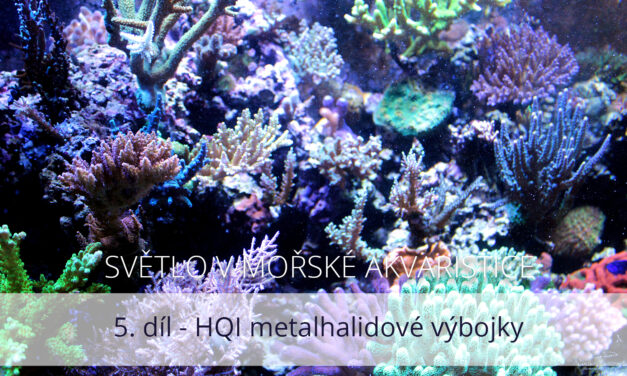 Světlo v mořské akvaristice, 5. díl