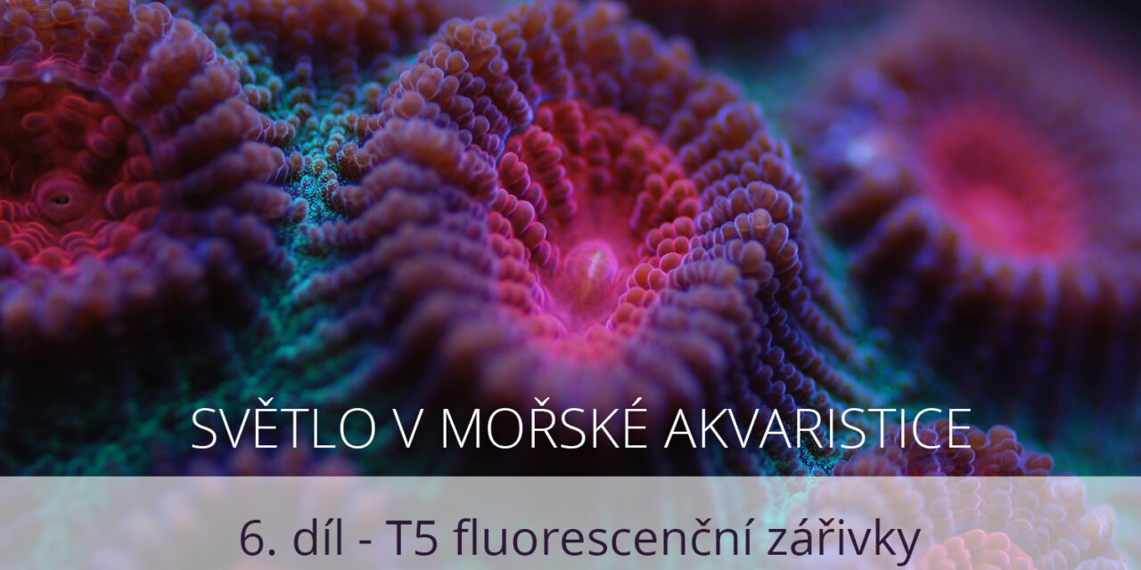 Světlo v mořské akvaristice, 6. díl