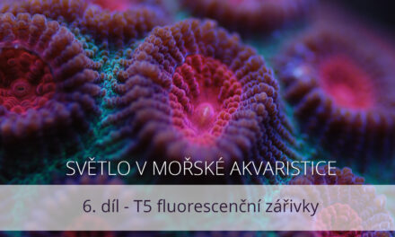 Světlo v mořské akvaristice, 6. díl