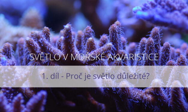 Světlo v mořské akvaristice, 1. díl