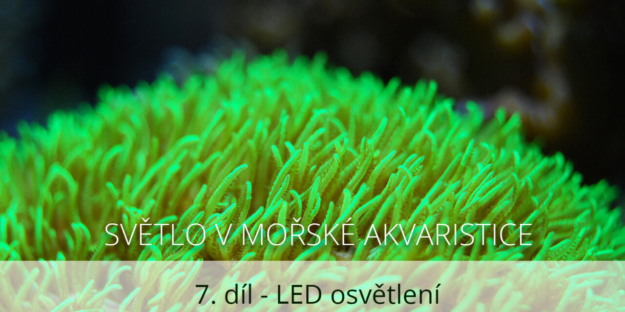 Světlo v mořské akvaristice, 7. díl