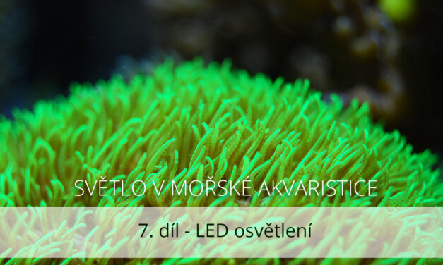 Světlo v mořské akvaristice, 7. díl