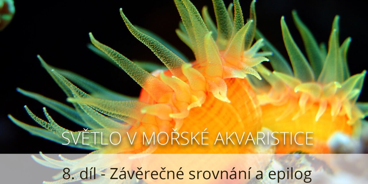 Světlo v mořské akvaristice, 8. díl
