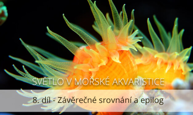Světlo v mořské akvaristice, 8. díl