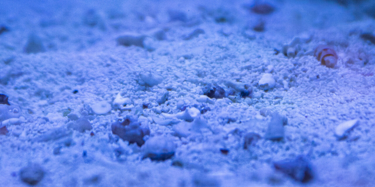 Co je živý písek?