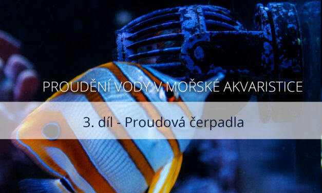 Proudění vody v mořské akvaristice – 3. díl