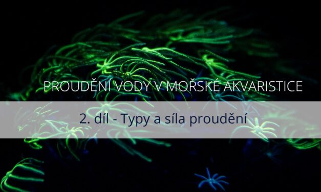Proudění vody v mořské akvaristice – 2. díl