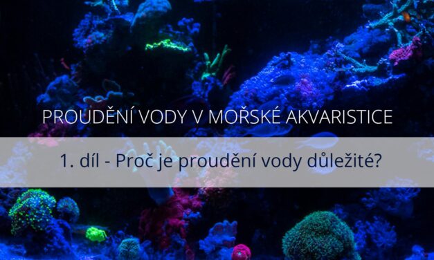 Proudění vody v mořské akvaristice – 1. díl