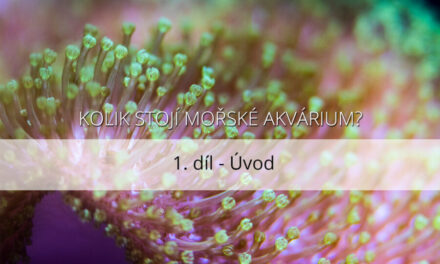 Kolik stojí mořské akvárium – 1. díl