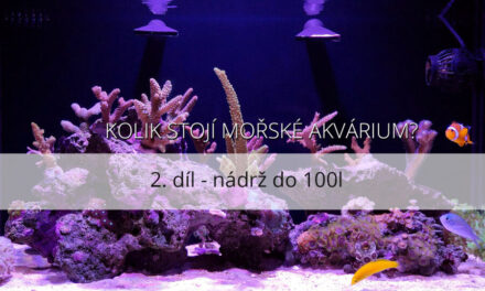 Kolik stojí mořské akvárium – 2. díl