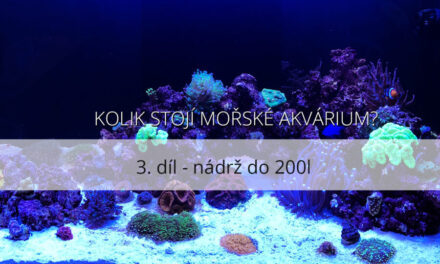Kolik stojí mořské akvárium – 3. díl