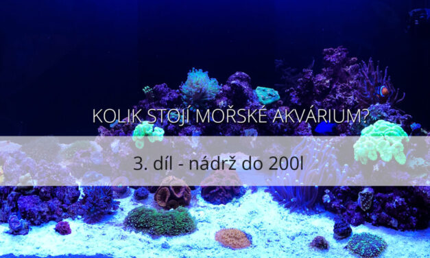 Kolik stojí mořské akvárium – 3. díl