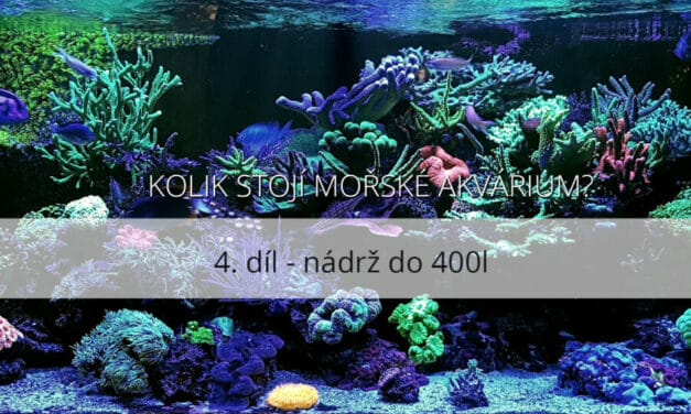 Kolik stojí mořské akvárium – 4. díl