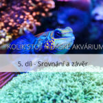 Kolik  stojí mořské akvárium – 5. díl