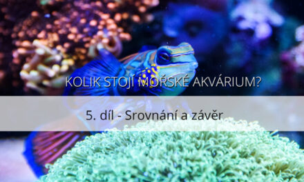 Kolik  stojí mořské akvárium – 5. díl