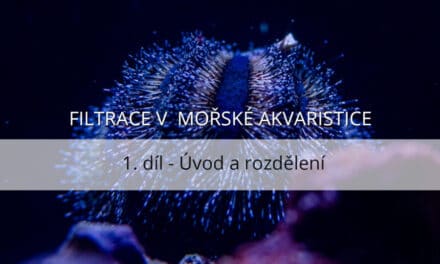 Filtrace v mořské akvaristice – 1. díl, úvod a rozdělení