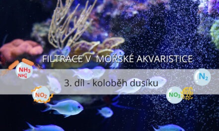 Filtrace v mořské akvaristice – 3. díl, koloběh dusíku