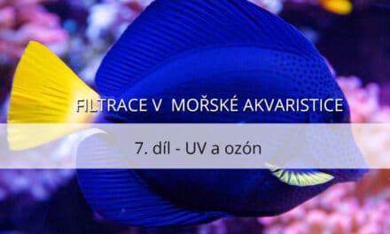Filtrace v mořské akvaristice – 7. díl, UV a ozón