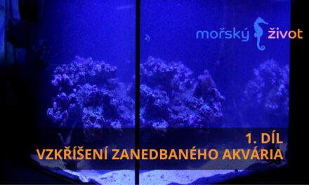 Vzkříšení zanedbaného mořského akvária – 1 díl