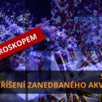 Vzkříšení zanedbaného mořského akvária, 5. díl – pod mikroskopem
