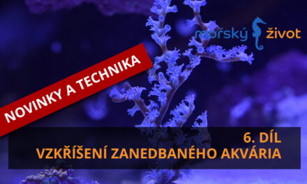 Vzkříšení zanedbaného mořského akvária 6. díl – novinky a technika
