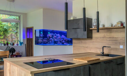 Mořská akvária po česku – Jiří Mayrich