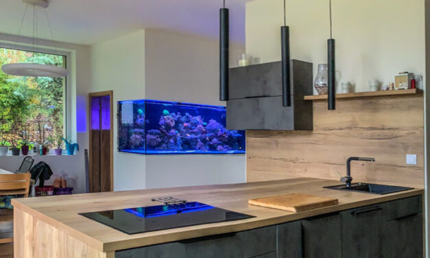 Mořská akvária po česku – Jiří Mayrich