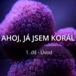 Ahoj, já jsem korál, 1.díl