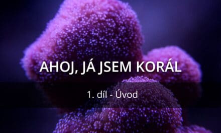 Ahoj, já jsem korál, 1.díl