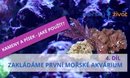Zakládáme první mořské akvárium – Materiály pro stavbu útesu, písek