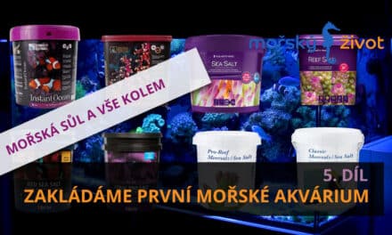 Zakládáme první mořské akvárium 5. díl –  Mořská sůl a vše kolem