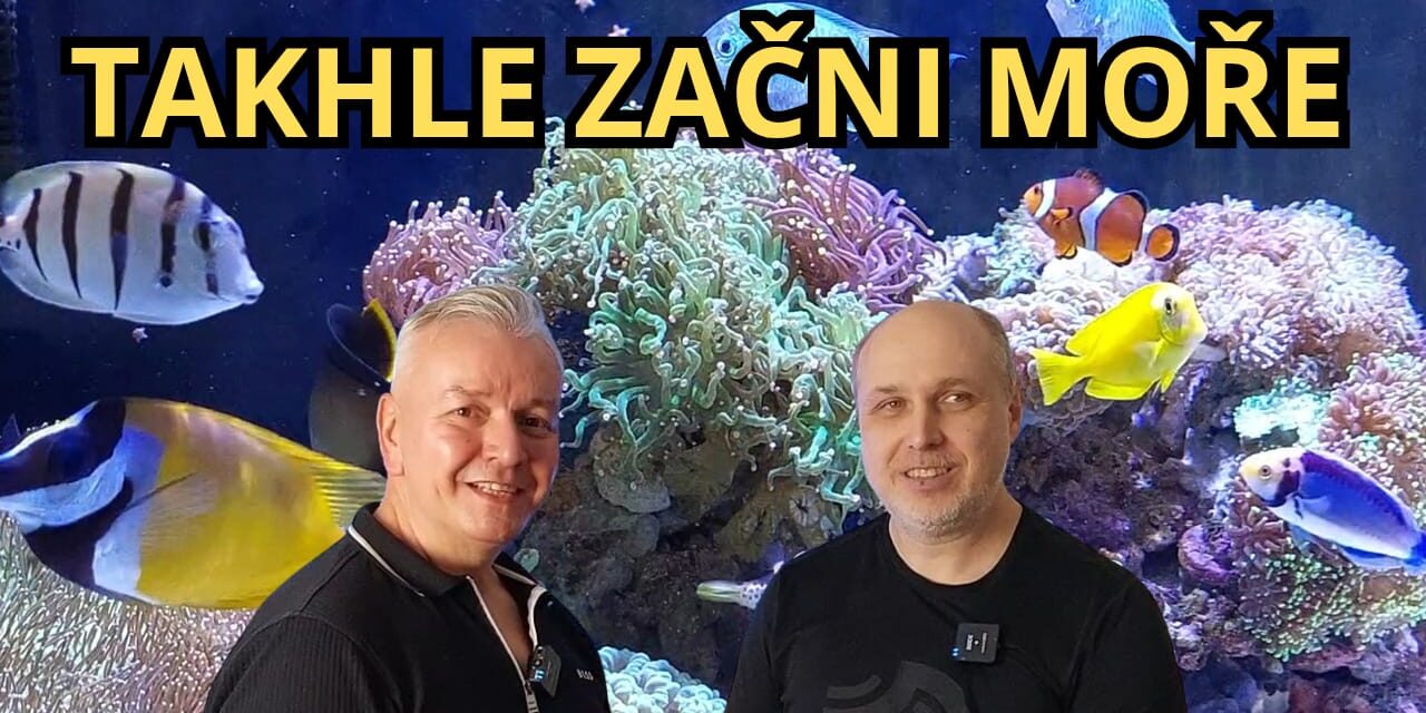 Rozhovor – mořské akvárium pro začátečníky