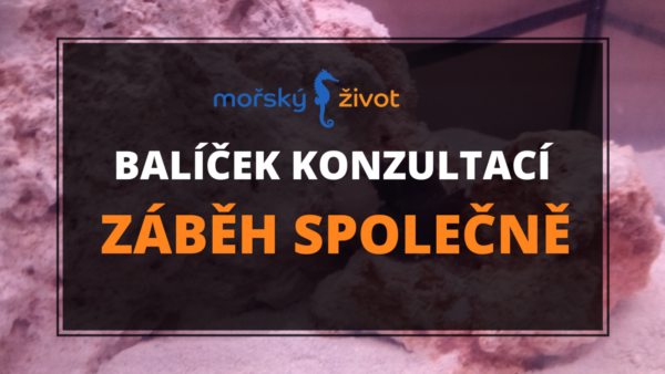 Balíček konzultací - záběh společně