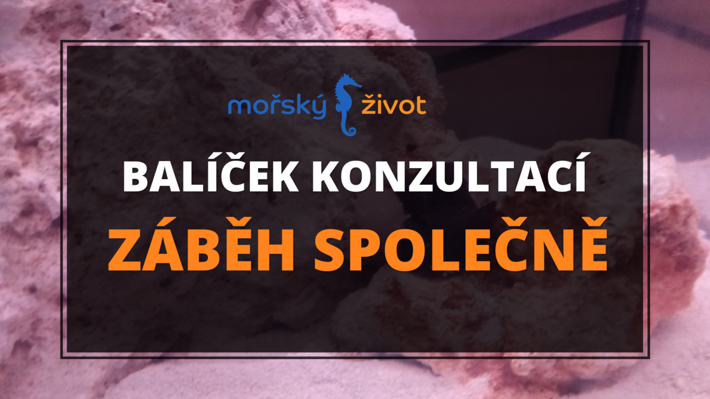 Balíček konzultací - záběh společně