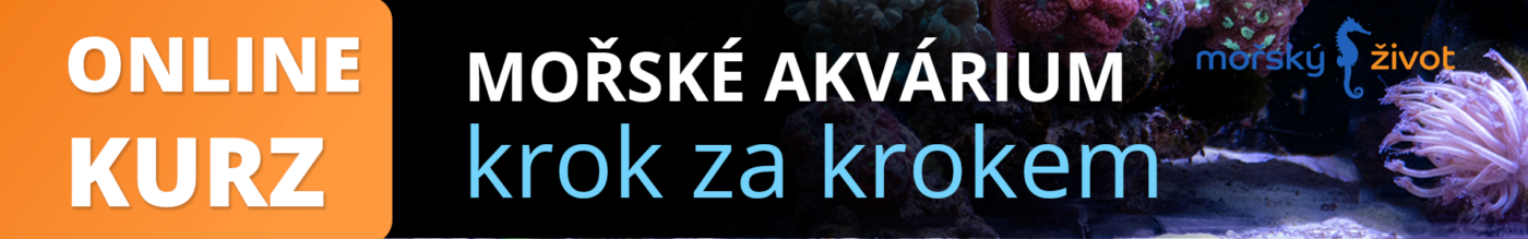 reklama