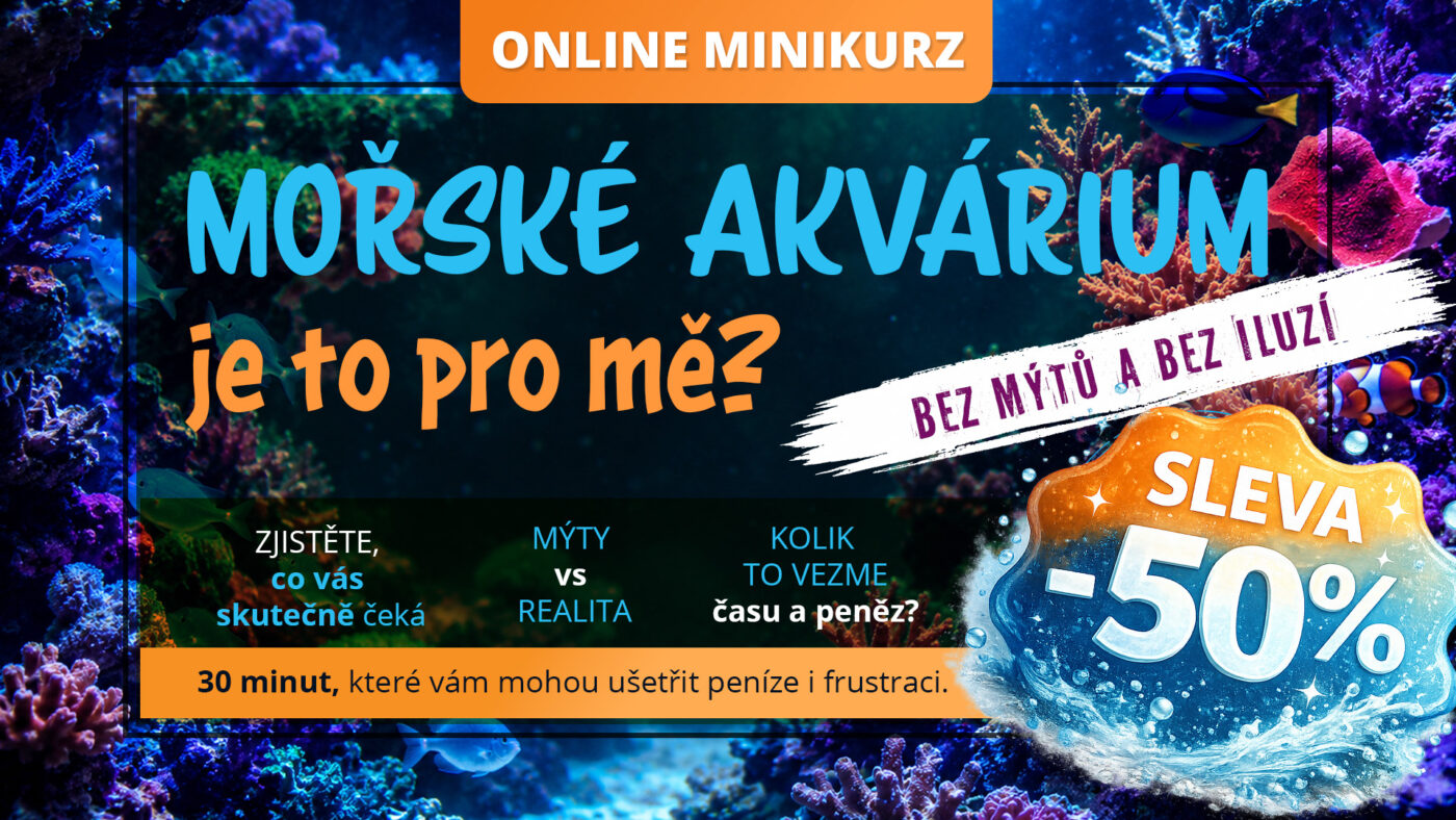 je-more-pro-me